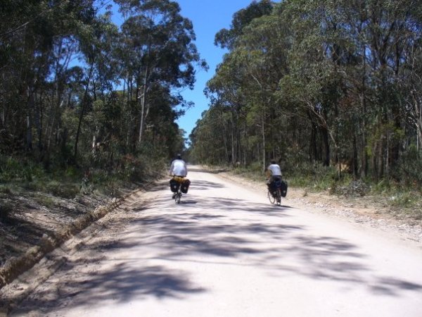 1917037_320143945060_5623051_n